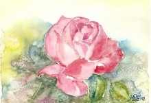 Aquarelle n°8 - "Rose"