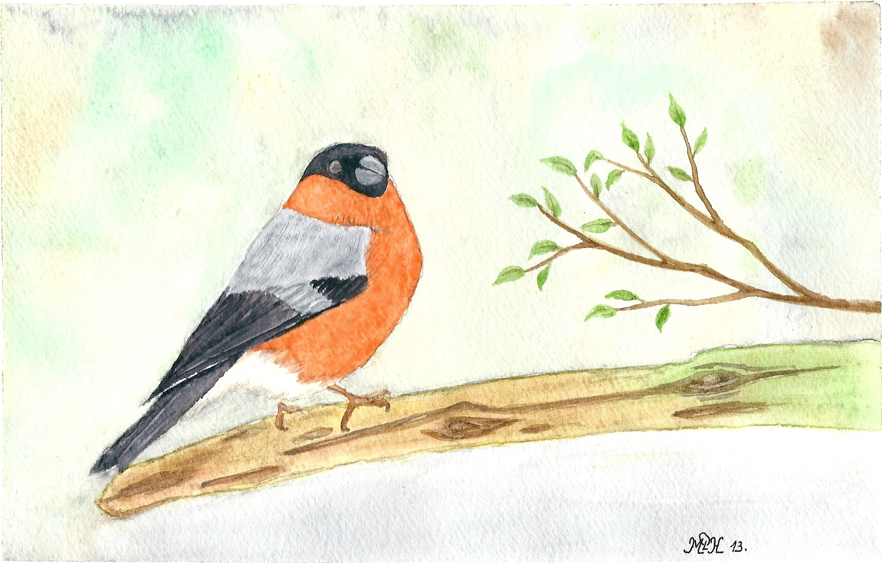 Aquarelle n°34: "Bouvreuil Pivoine"