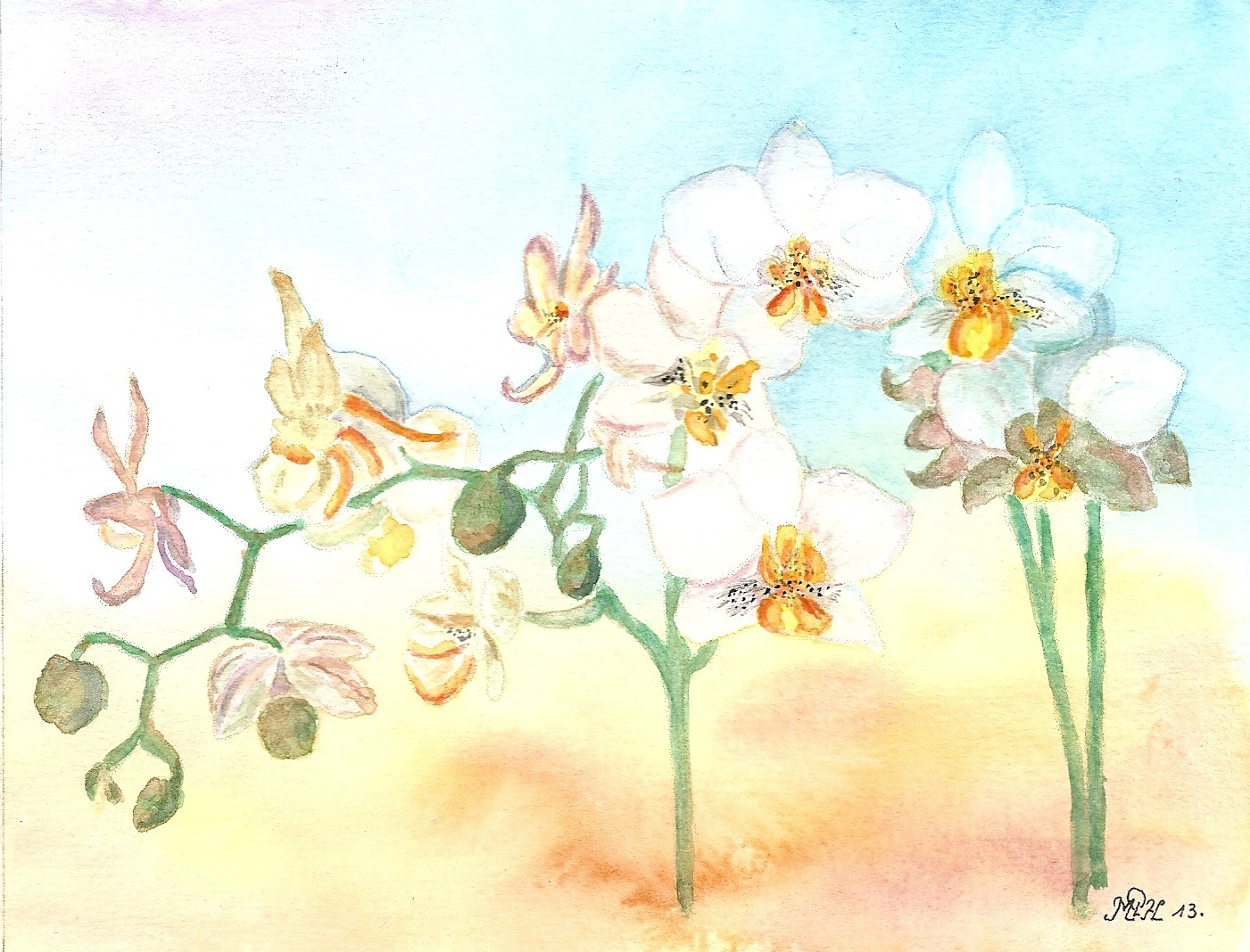 Aquarelle n°40: "Orchidées"