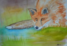 Aquarelle n°69: "Renard 2"