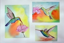 Aquarelle n°75: "Les Colibris"