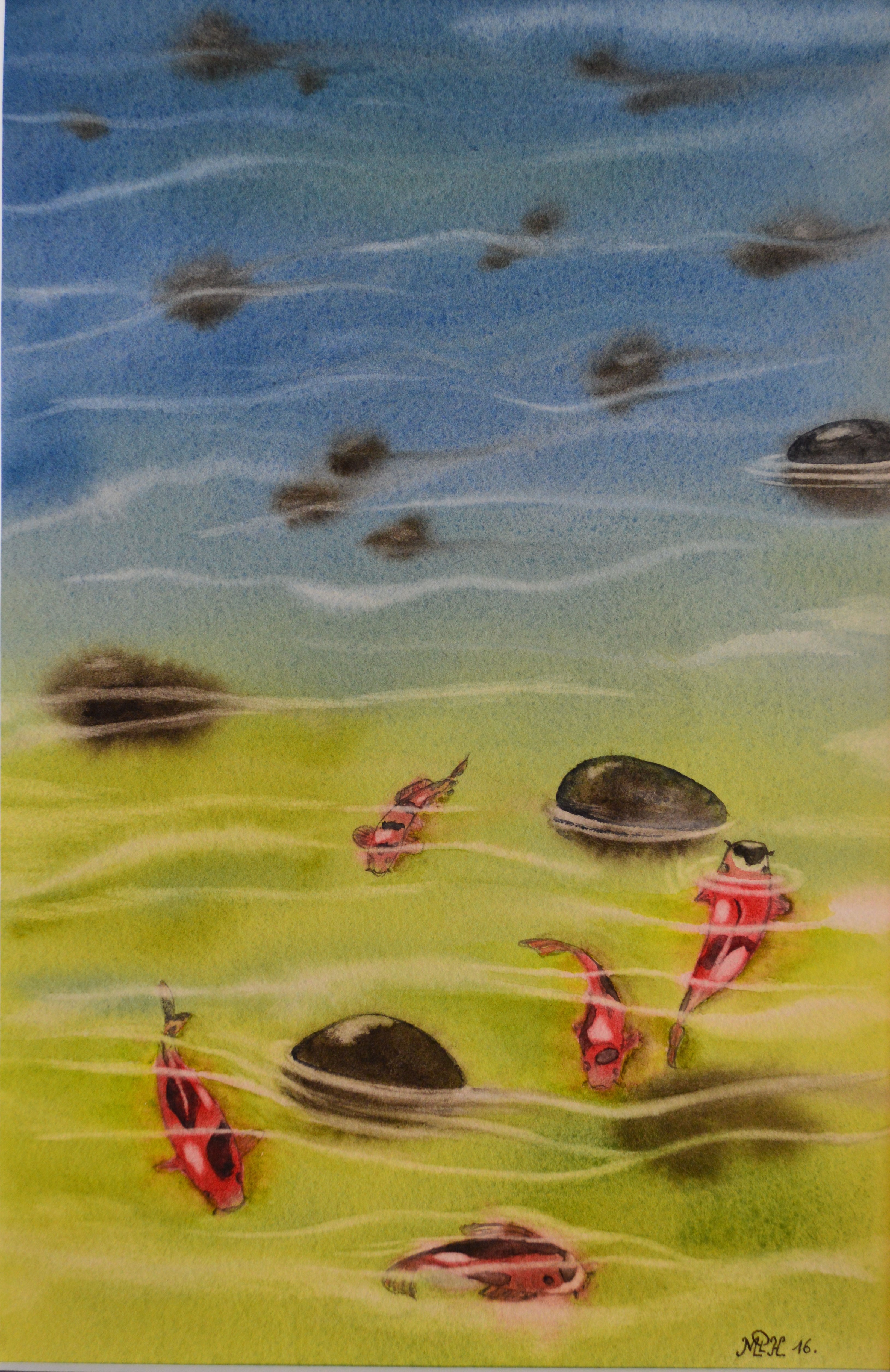 Aquarelle n°84: "Les Koï Showa"