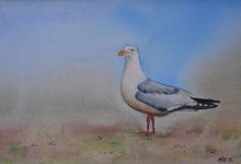 Aquarelle n°99: "La Mouette"