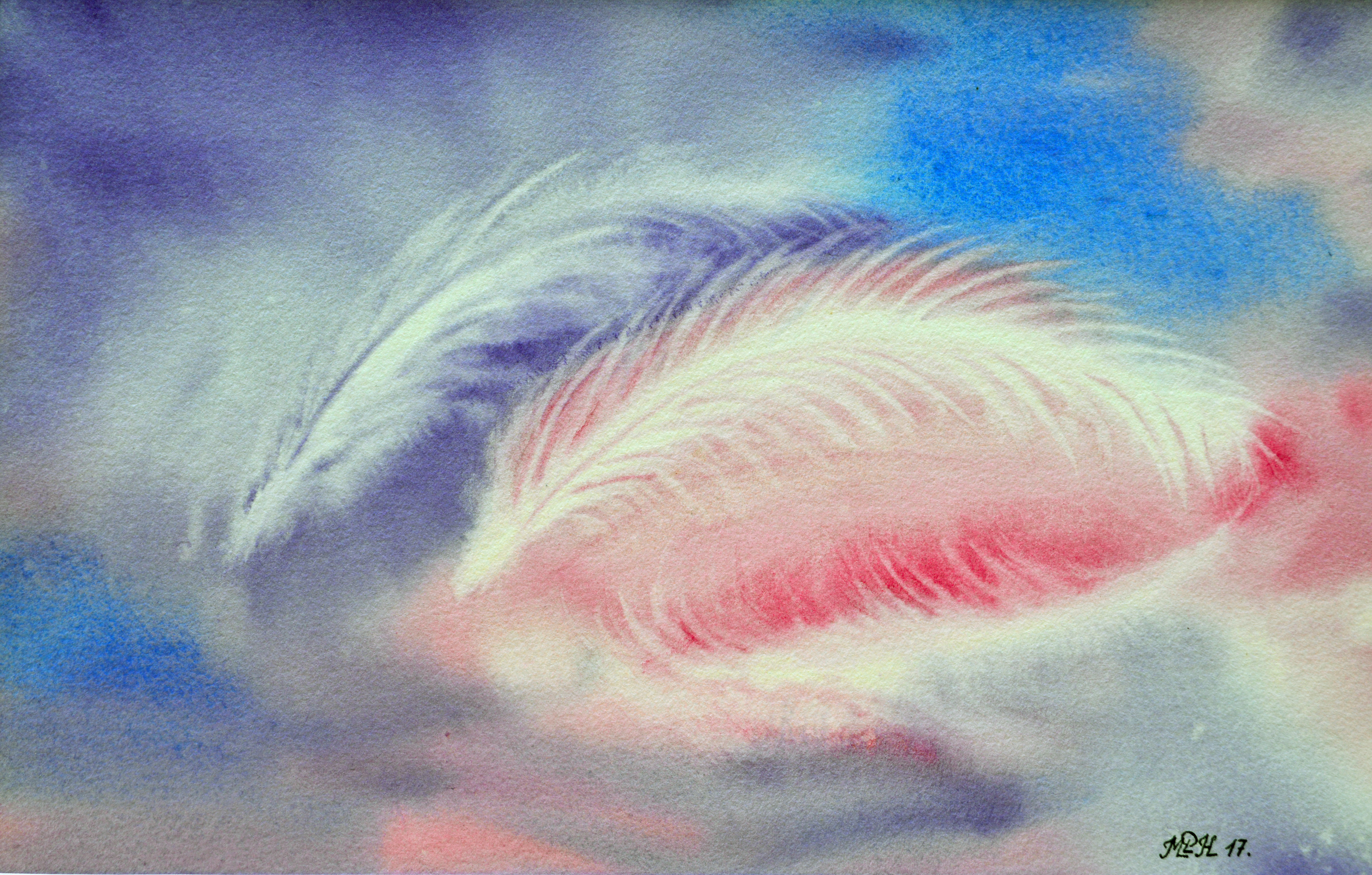 Aquarelle n°105: "Plumes au vent"