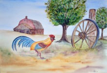 Aquarelle n°108: "Le Coq doré"