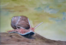 Aquarelle n°123: "L'Escargot"