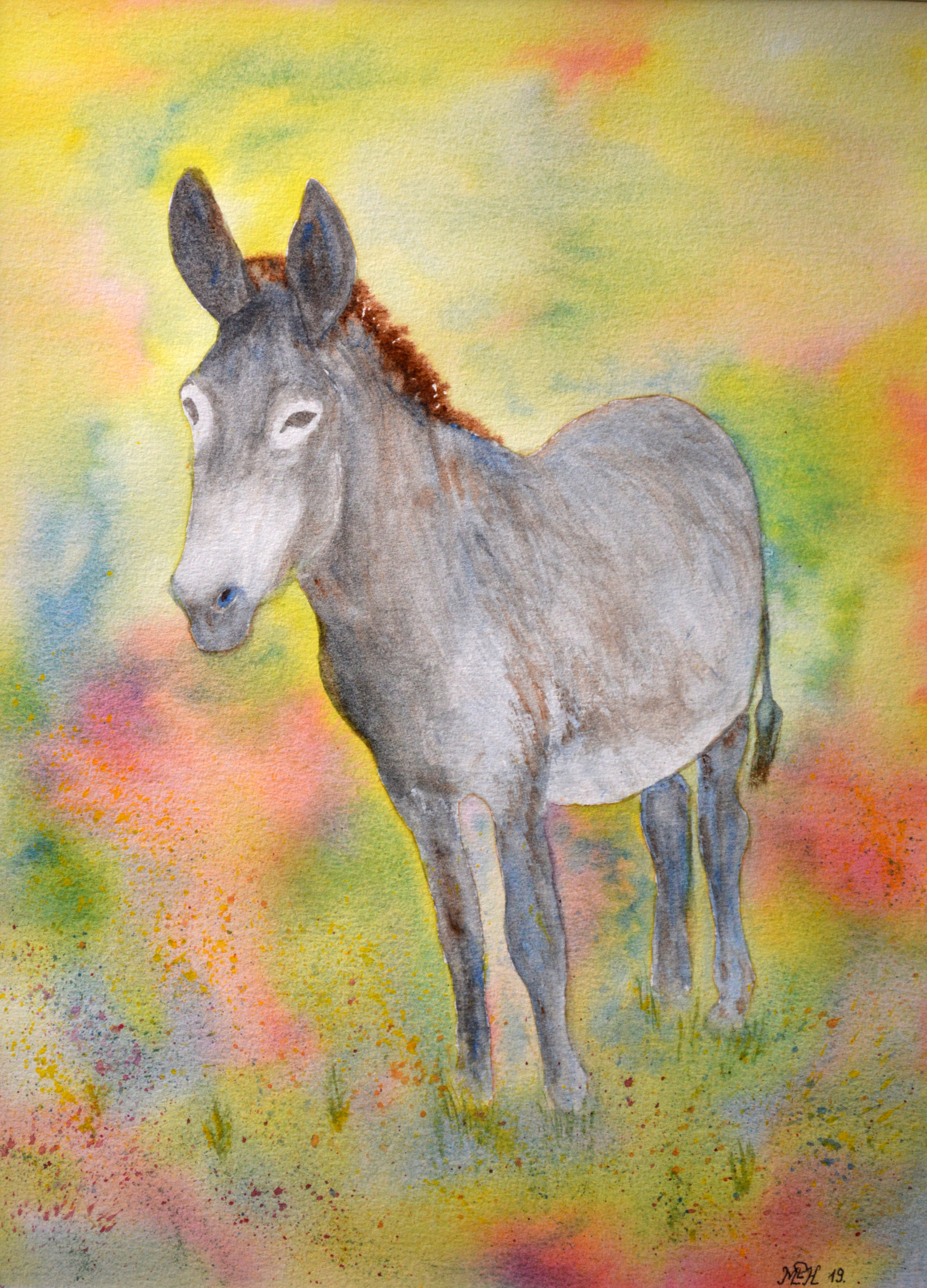 Aquarelle n°129: "♫...Mon Âne...♫"
